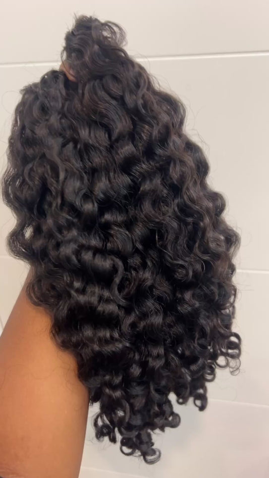 Burmese Curly